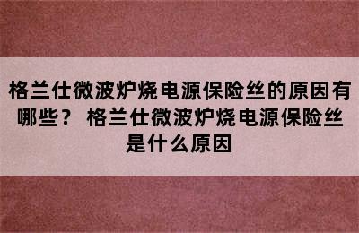 格兰仕微波炉烧电源保险丝的原因有哪些？ 格兰仕微波炉烧电源保险丝是什么原因